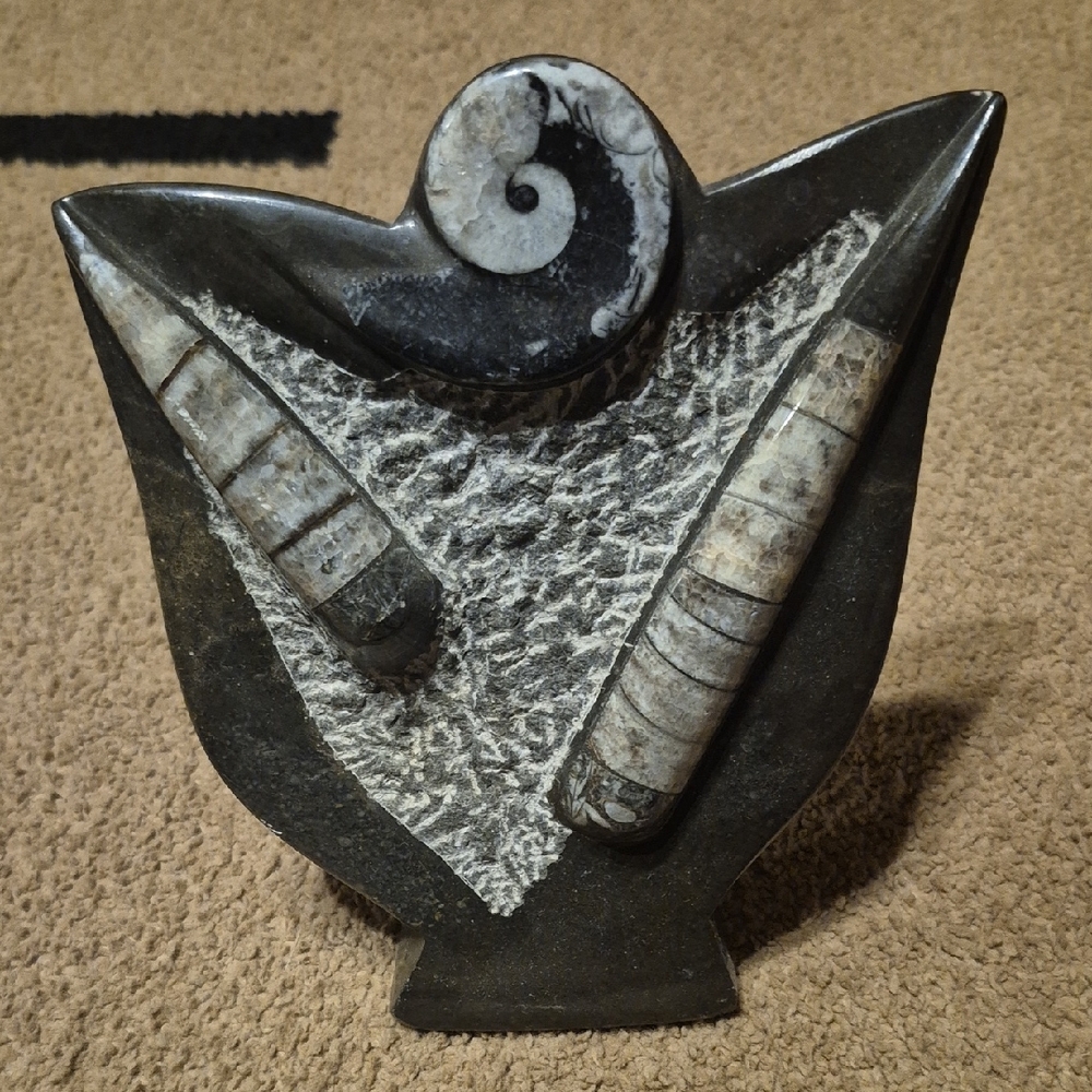 Artisan Fossil Stone Sculpture in Black and Gray